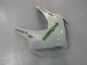 Carene & Plastica CBR 1000 RR 2008-2011 - Verde Bianco